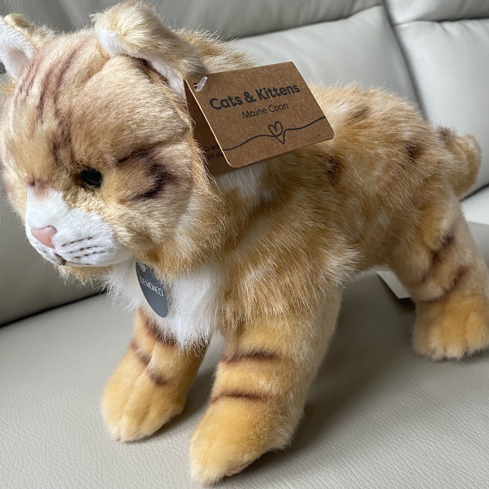 Cats & Kittens Maine Coon